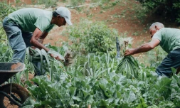Saint-Denis : une journée sport et santé au pôle agro bio