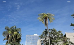 conseil départemental