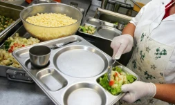 cantine scolaire 