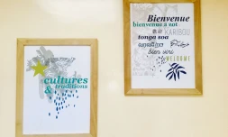 La consultation transculturelle au CHU, nouveau dispositif cosmopolite