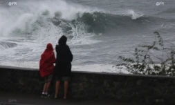 Houle sur le littoral ouest