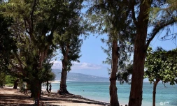 Plage L'Hermitage
