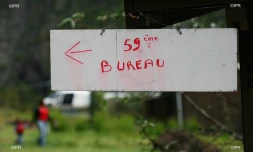 élections législatives 2017