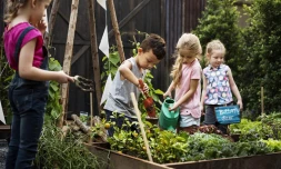 Réduisons nos déchets organiques TCO