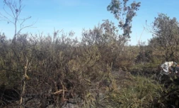 incendie étang saint paul