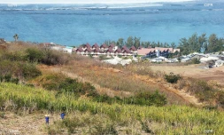 canne et urbanisation 