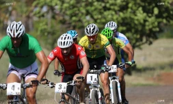 VTT 
