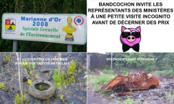 Bandcochon