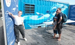 Les baleines s’invitent au musée du Débarcadère