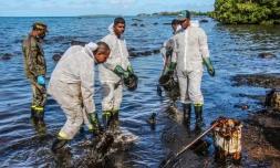 Pollution à Maurice