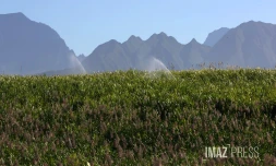 paysages 