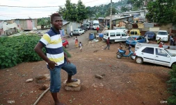 Mayotte illustrations