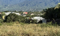 Saint-Pierre : grande opération de nettoyage dans le quartier de Bois d’Olives