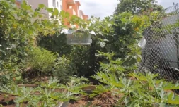 Jardin de Sainte-Clotilde