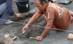 Sudel Fuma, historien, titulaire d\'une chaire à l\'Unesco