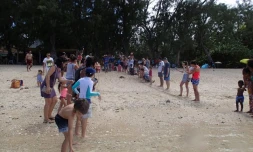 Kélonia - La tortue Bellavista a rejoint l'océan