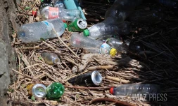 déchets plastiques