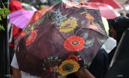 parapluie 
