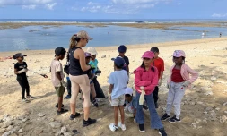Saint-Pierre : un mouvement en faveur de l'écologie avec l'opération clean up
