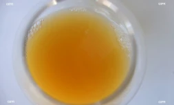Brasserie Dalons 
