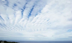 paysages 