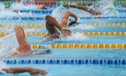 natation 