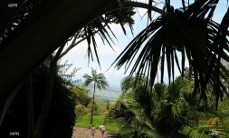 jardins