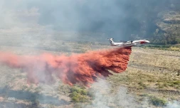  Incendie à la Rivière des Galets, le DASH va intervenir