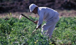 Agriculteur 