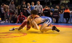 tournoi de lutte en Allemagne