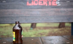 brasserie de bourbon