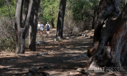 foret domaniale