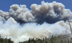 De la fumée s'élève d'un feu de forêt près du lac Barrington dans le comté de Shelburne en Nouvelle-Écosse, le 28 mai 2023. Image fournie par le gouvernement de la Nouvelle-Écosse au Canada ( Nova Scotia Government / Handout )