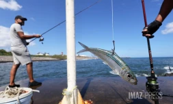 pecheurs Ă la golette