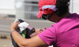 rallye fauteuil handicapé