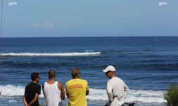 Maître Nageur Sauveteur