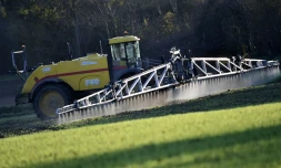 Un engin épand des pesticides à Illiers-Combray (Illiers-Combray), le 14 novembre 2024. (JEAN-FRANCOIS MONIER / AFP)