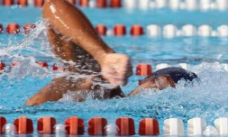 Natation 