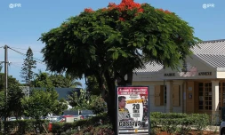mairie annexe de Fleurimont