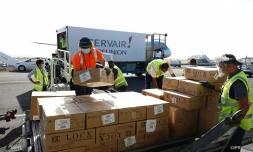 Commandés par le Département 1,5 million de masques livrés à La Réunion