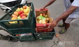 précarite alimentaire