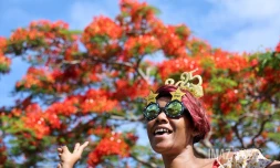 nouvel an 2025 flamboyants 