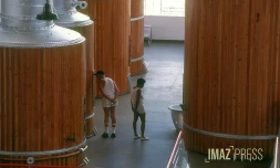 Stella Matutina dans les années 1990 