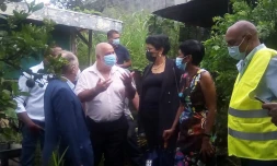 conseil départemental patrick jarry département ericka bareigts lutte anti vectorielle dengue