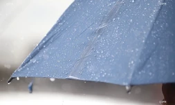 pluie