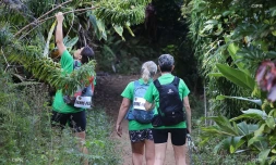 Grand raid