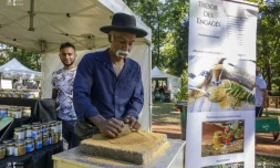 Le Département organise un marché Péi au Jardin de l'Etat