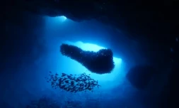 Court-métrage union réserve marine