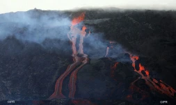 volcan 2019