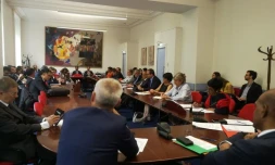 Crise, dengue, Ericka Bareigts, mission d'évaluation